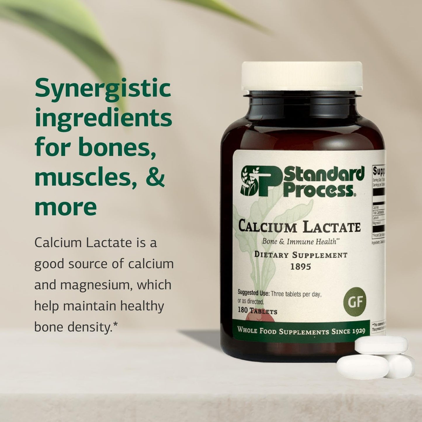 Standard Process Calcium Lactate – Bone & Immune Health (180 Tablets) | Vegan, Gluten-Free