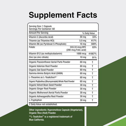 CalmSupport: Stress & Relaxation Support - Ashwagandha, Passion Flower, Valerian Root, Ginger, GABA, Velvet Bean, Motherwort, Oat Seed, Phyllanthus, L-Theanine, L-Tryptophan, Folate, C,B1,B6,B12,Zinc