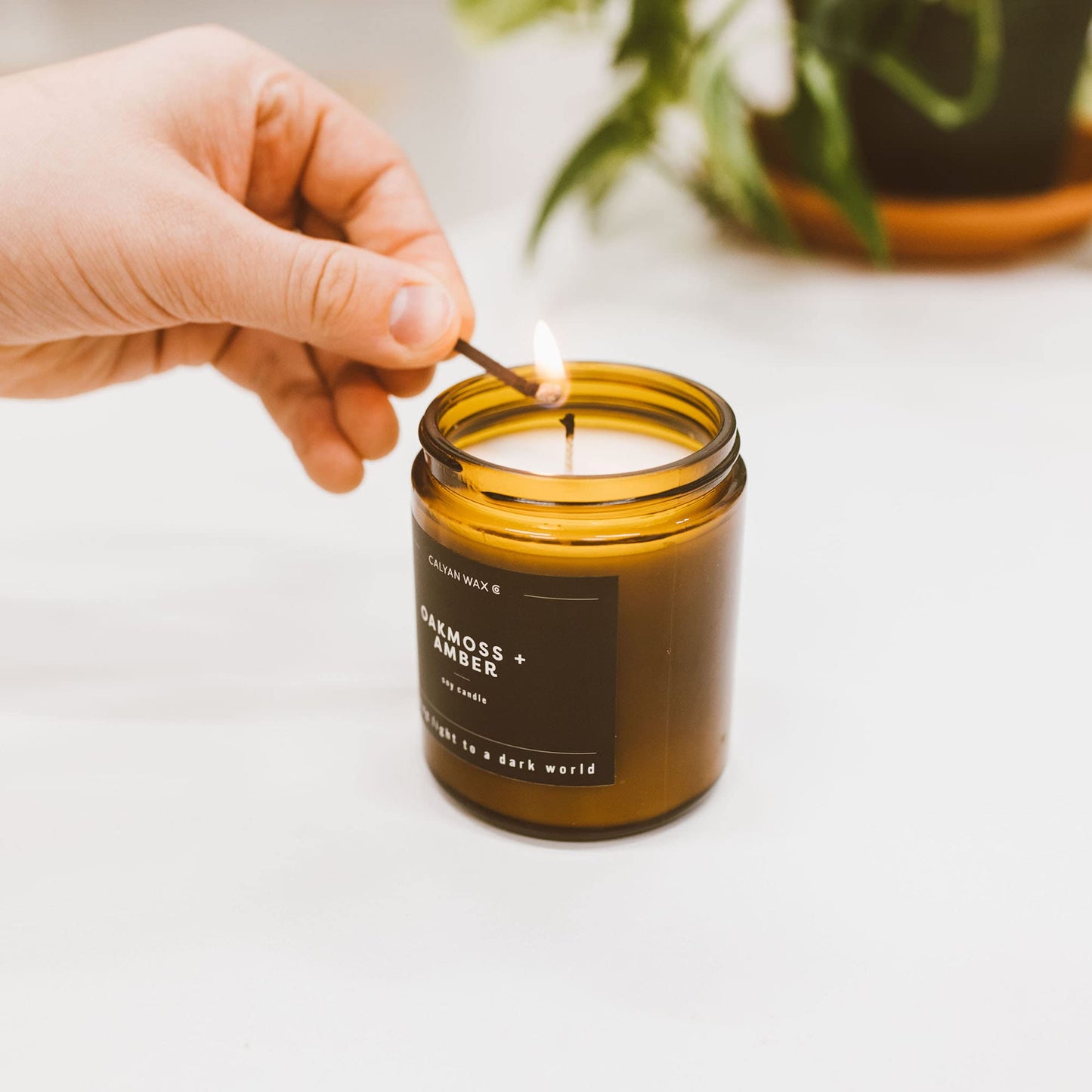 Calyan Wax Co. Desert & Agave Candle – 57 Hour Burn, Luxury Non-Toxic Soy, Amber Glass Jar 7.2oz