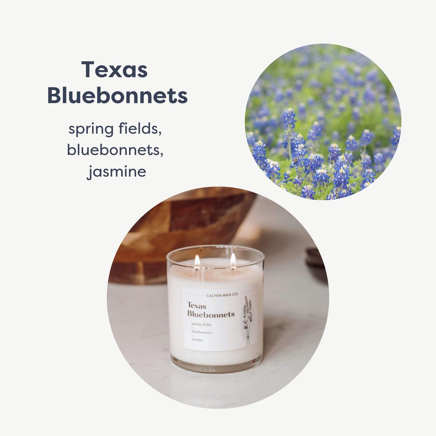 Texas Bluebonnets 2-Wick Soy Candle - Calyan Wax Co. - 8.8oz, 37hr Burn