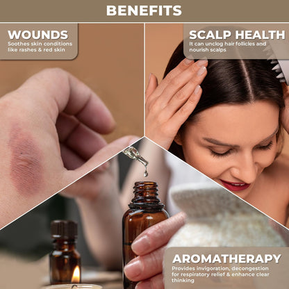 100% Plant Based Organic Camphor Essential Oil - Pure & Steam Distilled