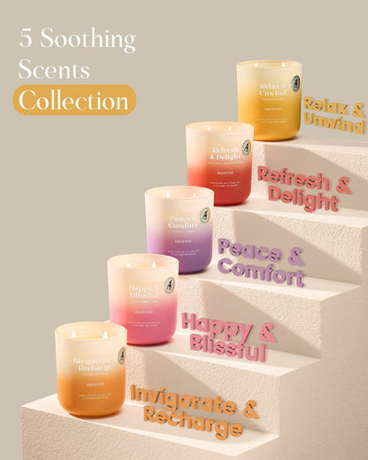 M&SENSE Orange Grapefruit Candle – 14.1oz, 2-Wick Soy, 80h Burn Time