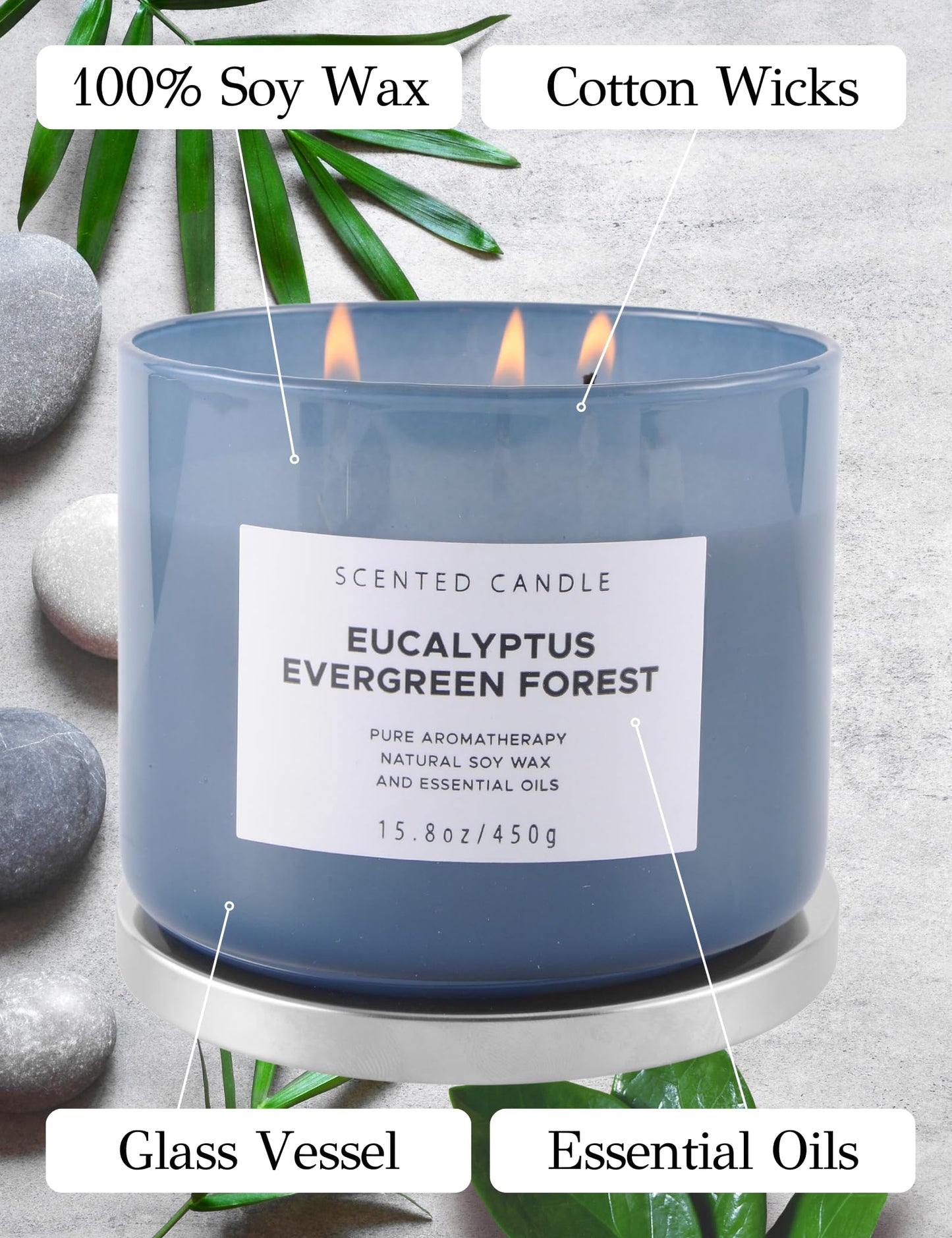 Eucalyptus Evergreen Forest 3-Wick Soy Candle – 15.8 oz | Winter Pine, Balsam Fir & Evergreen Scented