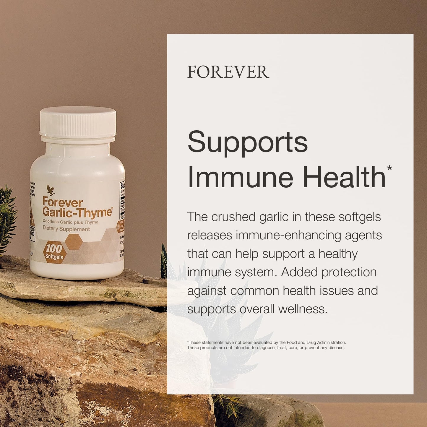 Forever Garlic-Thyme Odorless Softgels – Cardiovascular & Immune Support (Pack of 2)
