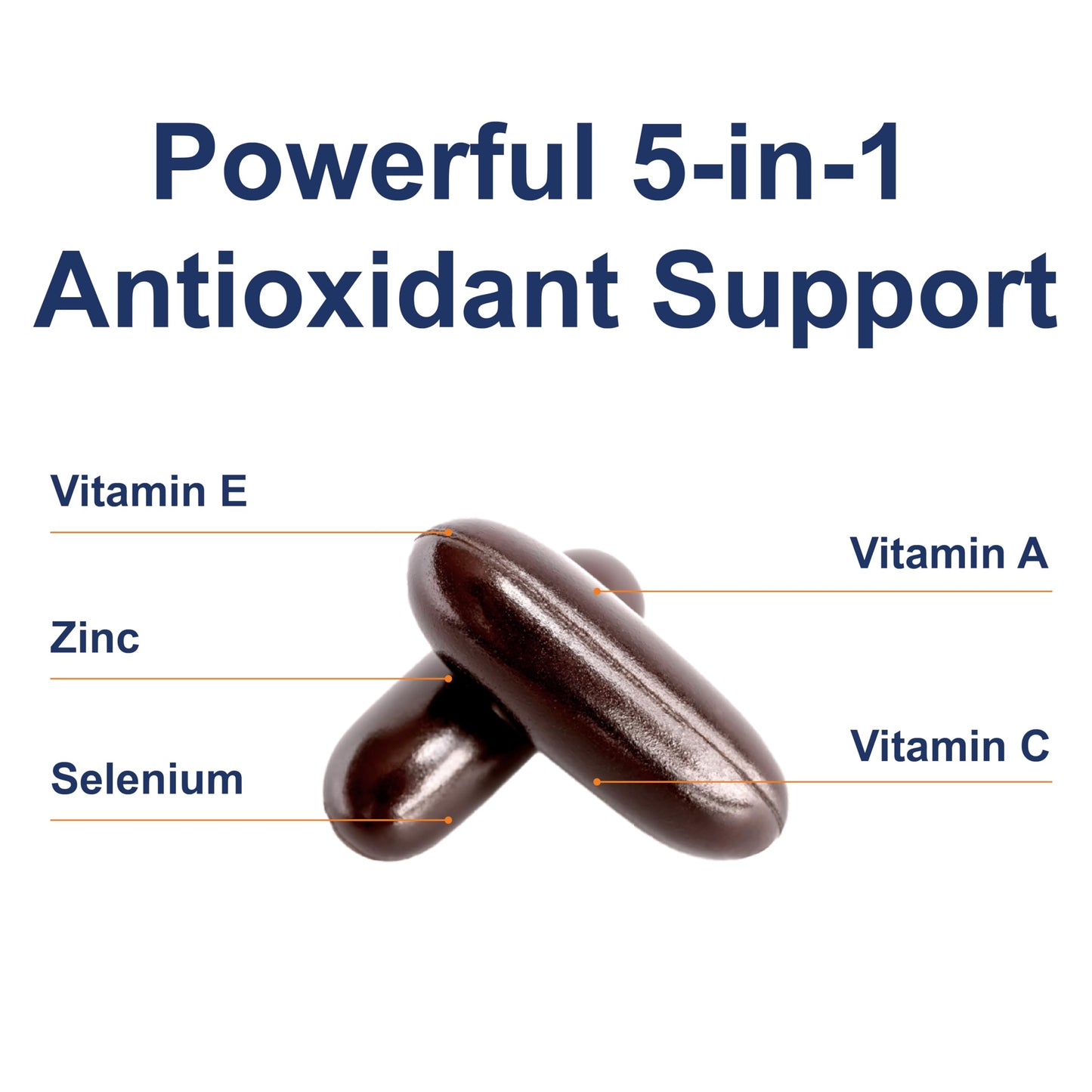 Carlson ACES + Zn Multivitamin with Zinc – Immune Support, Antioxidants, 360 Softgels