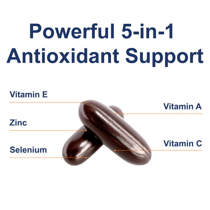 Carlson ACES + Zn Multivitamin with Zinc – Immune Support, Antioxidants, 360 Softgels