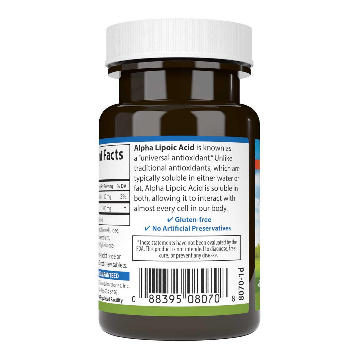 Carlson Alpha Lipoic Acid 300 mg – Energy Production & Universal Antioxidant (30 Tablets, Pack of 2)