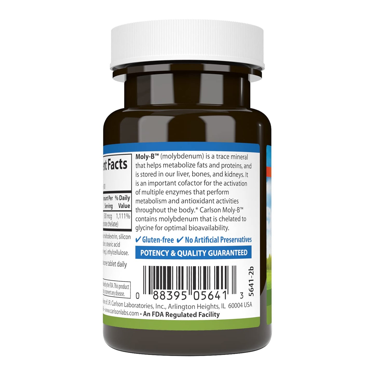 Carlson Moly-B Chelated Molybdenum – Metabolism Support & Enzyme Activation | 100 Vegetarian Tablets
