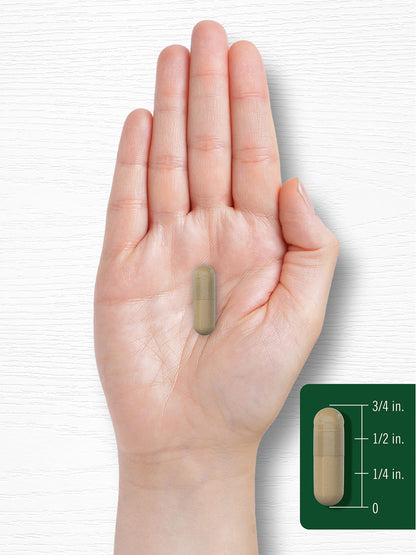 Carlyle Gotu Kola Capsules 1500mg - 180 Count | Non-GMO & Gluten Free
