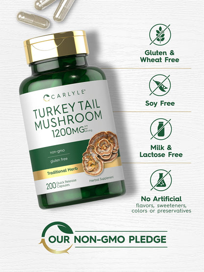 Carlyle Turkey Tail Mushroom Capsules - 1200mg, 200 Count | Non-GMO & Gluten Free