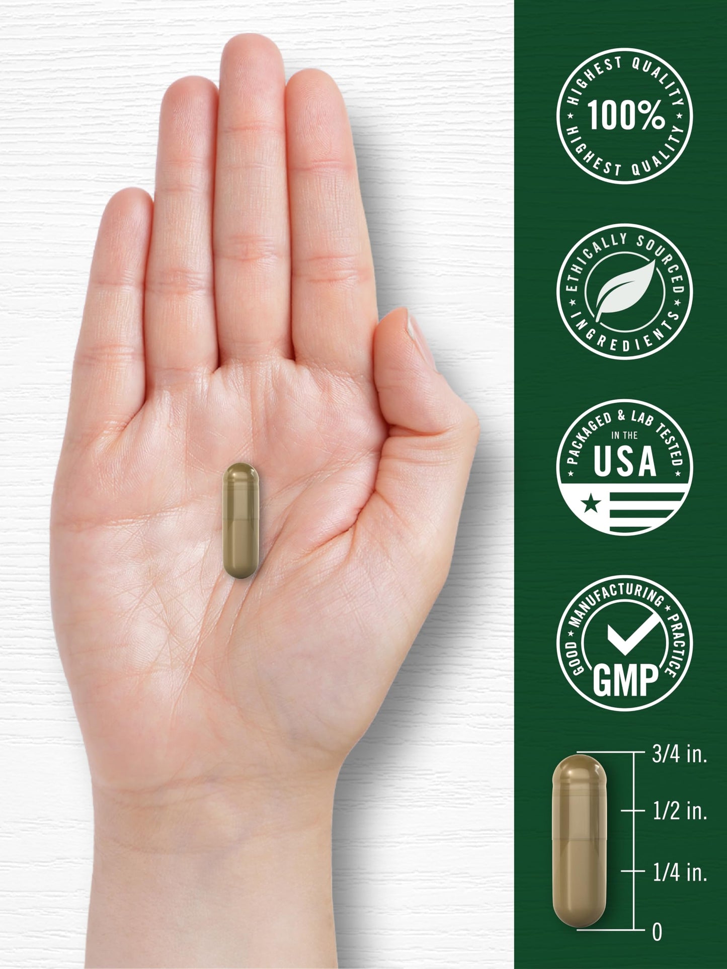 Carlyle Wormwood Capsules 430mg | Artemisia Annua Herb | 200 Count | Non-GMO & Gluten Free Supplement