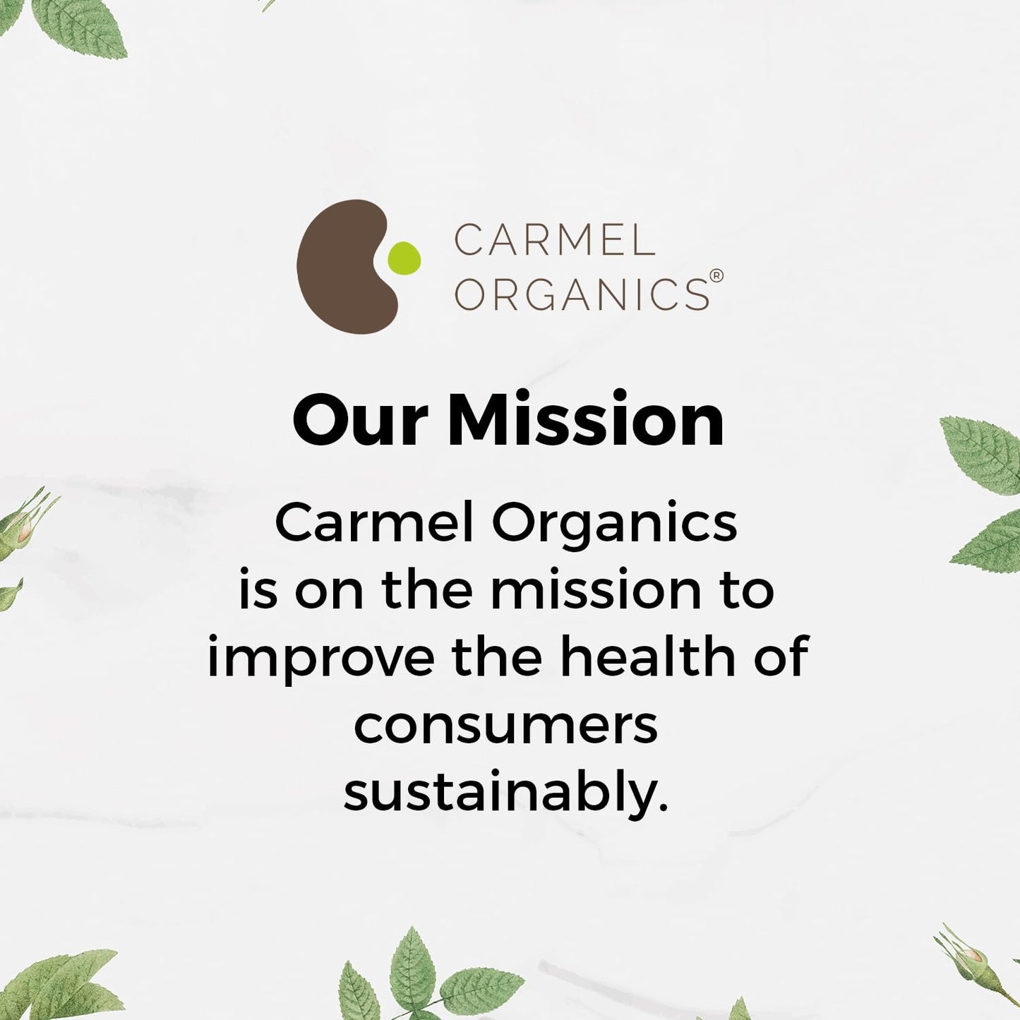 Carmel Organics Amla Powder (8 oz) – Hair & Skin Care, Wellness | Non-GMO