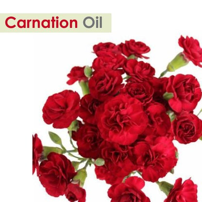 Carnation Essential Oil (Dianthus Caryophyllus) – Salvia Amber Bottle 30ML