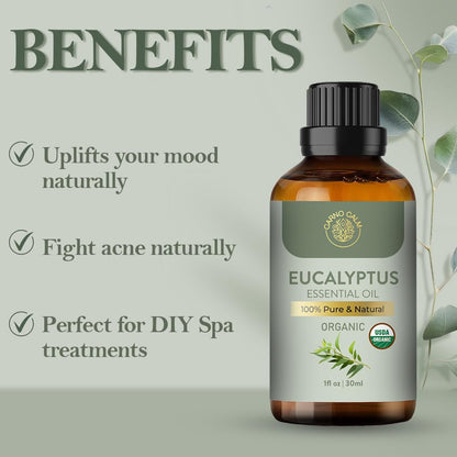 Carno Calm Eucalyptus Essential Oil | USDA Certified Organic Eucalyptus Oil | Skin & Hair Care | Aromatherapy & Diffuser | DIY Uses | 1 Fl oz