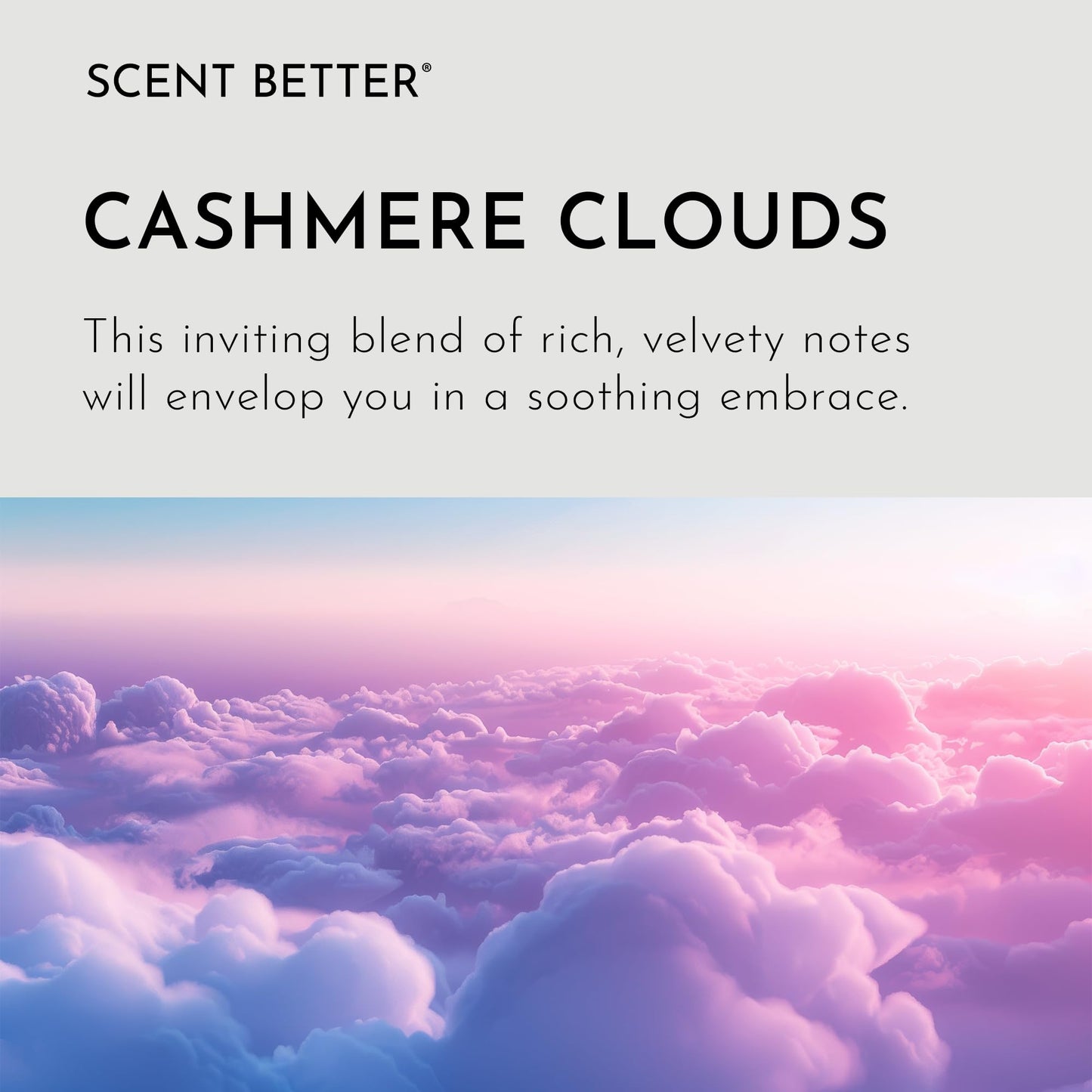 Cashmere Clouds Aroma Essential Oil Blend for Ultrasonic Diffusers & Nebulizers | Cedar, Vanilla & Amber (3.3 fl oz / 100 mL) | Scent Better