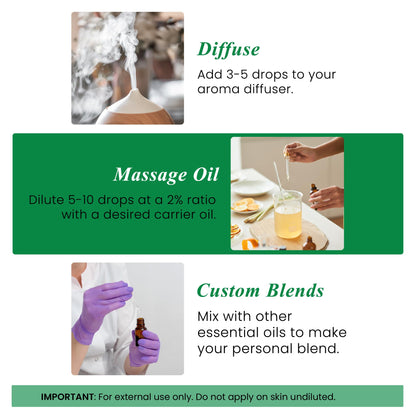 Handcraft Blends Cassia Essential Oil – 4 Fl Oz | 100% Pure & Natural