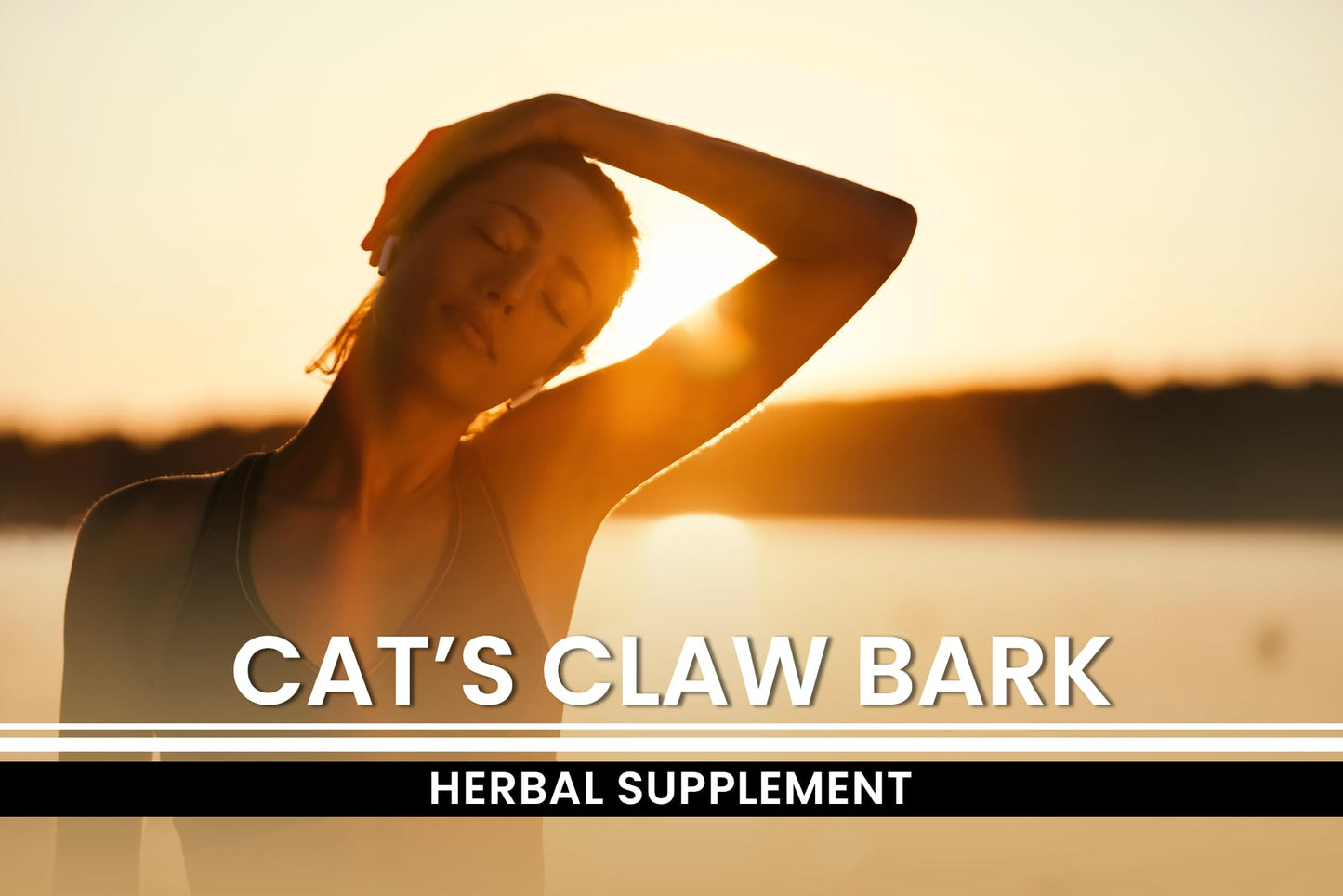 Cat's Claw Bark 365 Capsules | Pure Original Ingredients | Lab Verified