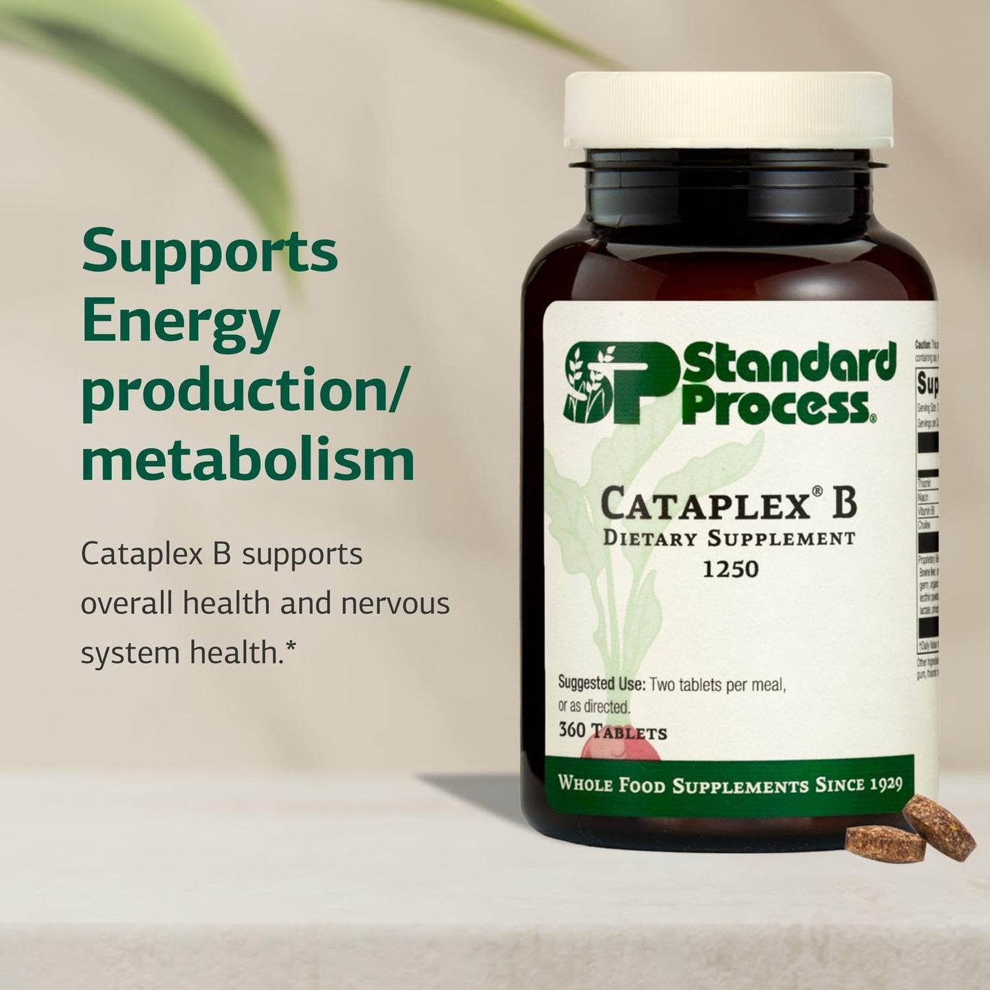 Standard Process Cataplex B – Whole-Food B-Complex for Heart, Metabolism & Cholesterol Support | 360 Tablets