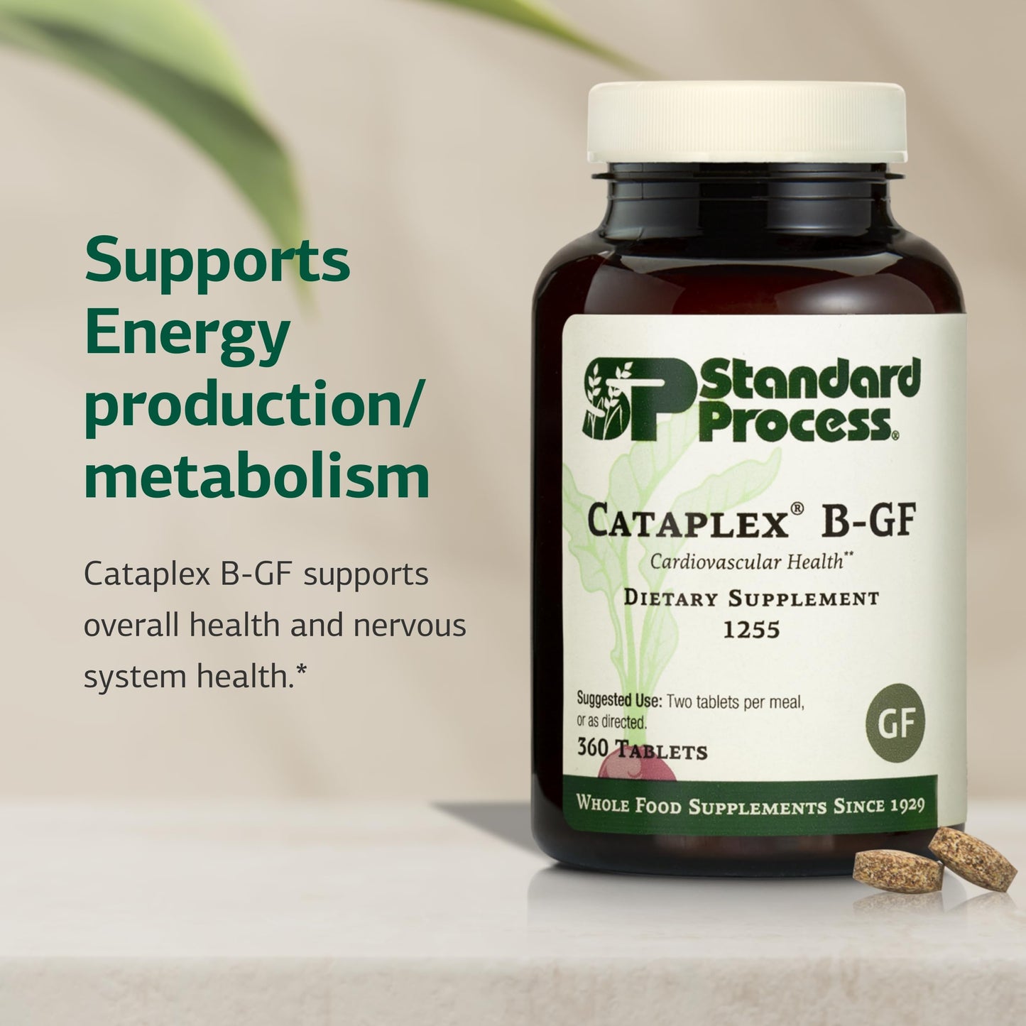 Standard Process Cataplex B-GF - Nervous System & Energy Support - Gluten-Free, Non-Dairy & Non-Soy - 360 Tablets
