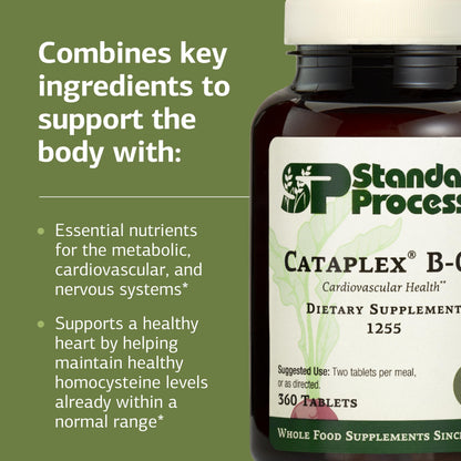 Standard Process Cataplex B-GF - Nervous System & Energy Support - Gluten-Free, Non-Dairy & Non-Soy - 360 Tablets