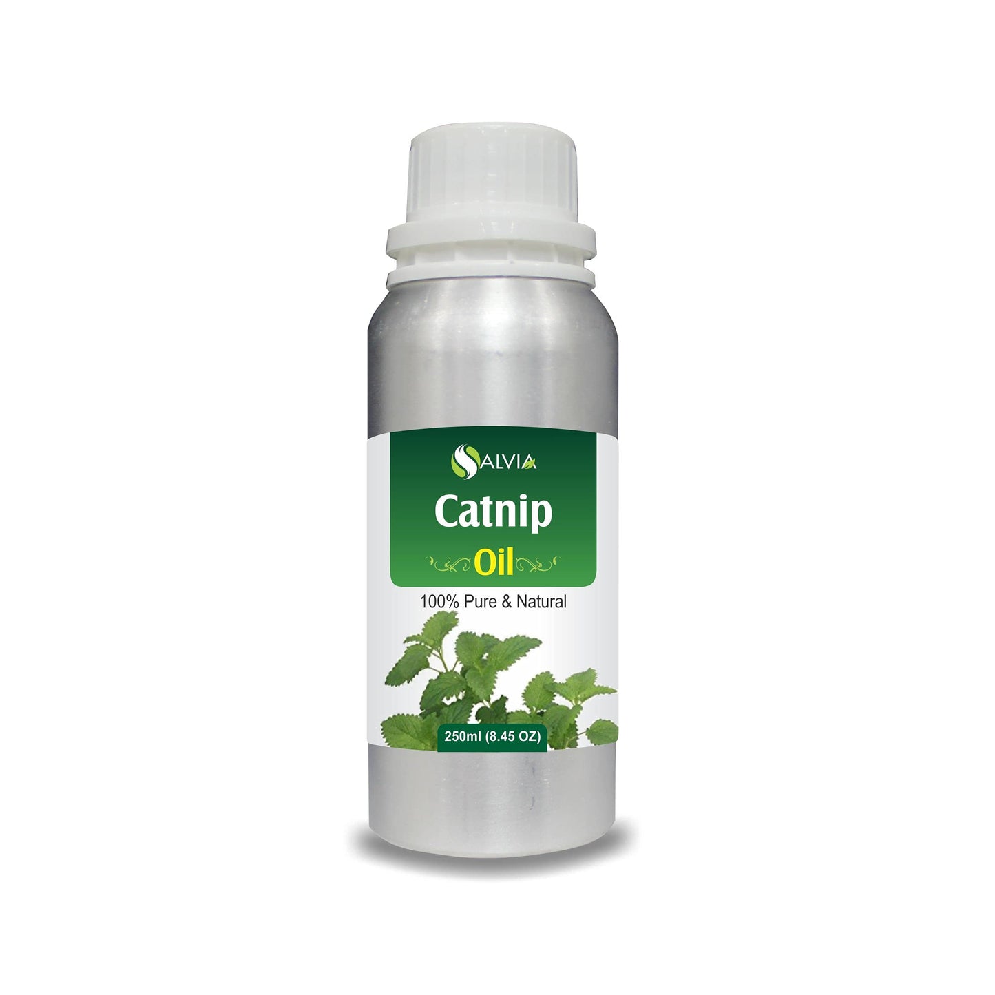 Catnip (Nepeta cataria) Essential Oil 100% Pure & Natural - 250 ml | Aromatherapy