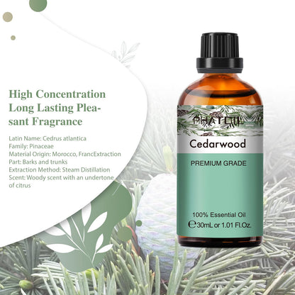 Cedarwood Essential Oil 30ml | PHATOIL Pure Essential Oil Singles for Aromatherapy, Diffusers & DIY Crafts