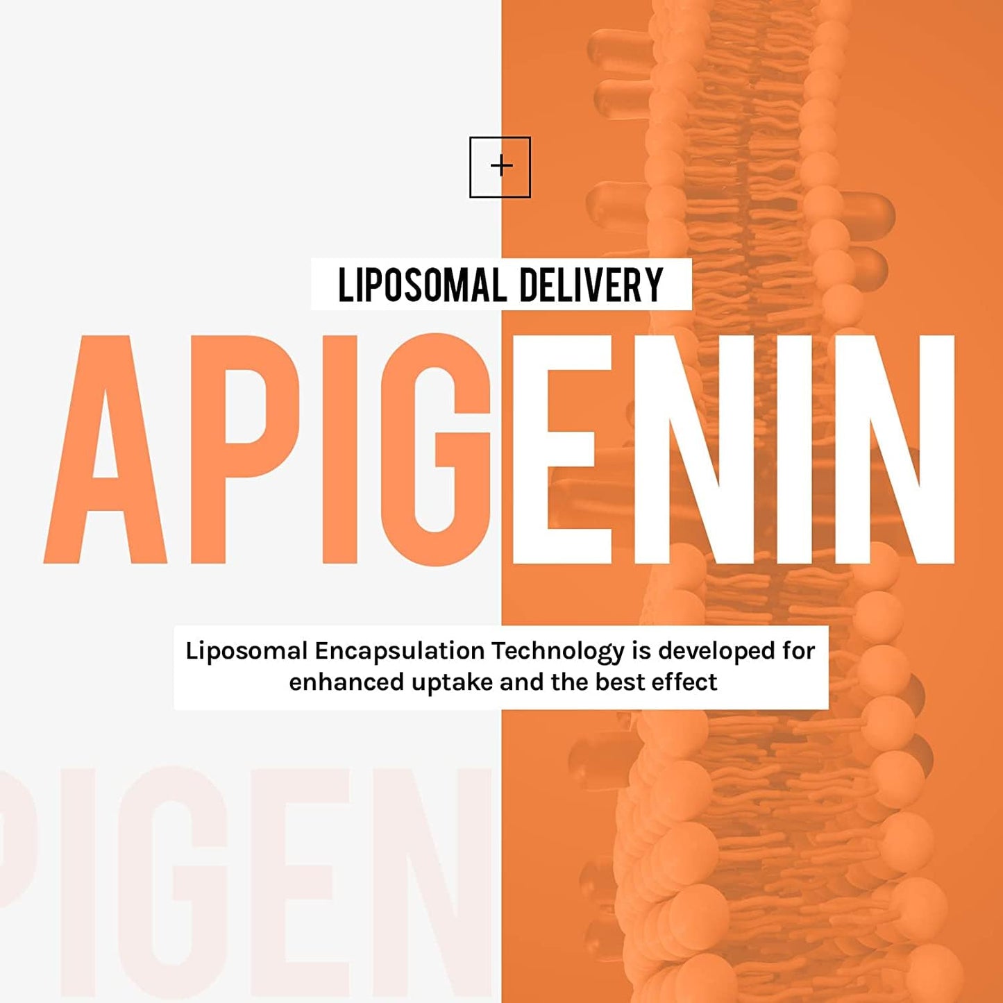 Cenffitio Liposomal Apigenin 500mg Softgels — Enhanced Absorption with Fisetin, Quercetin & Theaflavins (4-Month Supply)