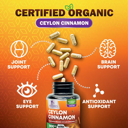 Organic Ceylon Cinnamon 1800mg Supplement – 240 Capsules (USA Bottled)