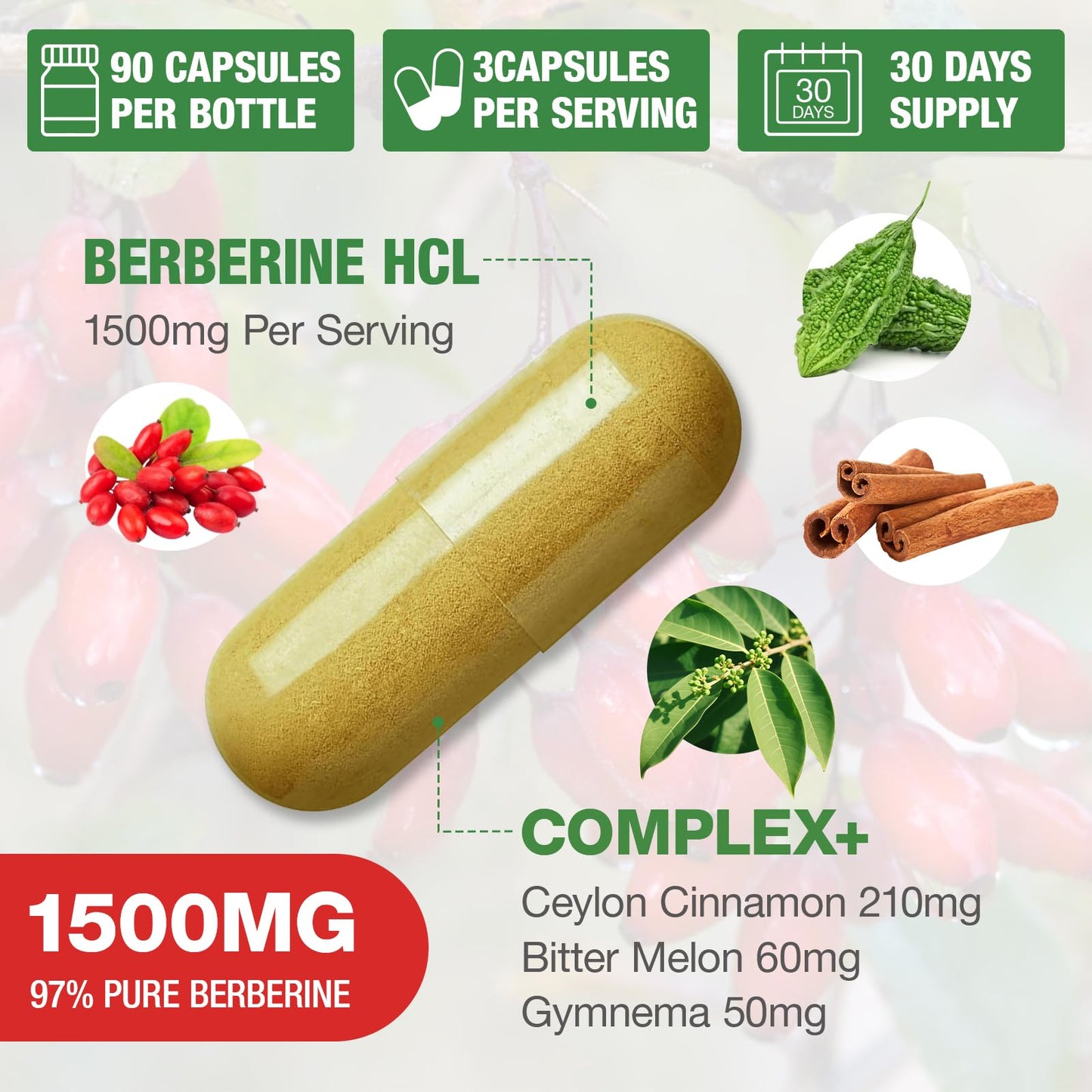CHANUBITO 4-Pack Organic Berberine Supplement – High Potency Berberine HCl, Non-GMO