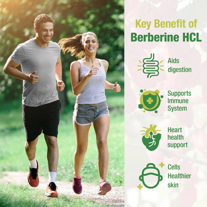 CHANUBITO 4-Pack Organic Berberine Supplement – High Potency Berberine HCl, Non-GMO