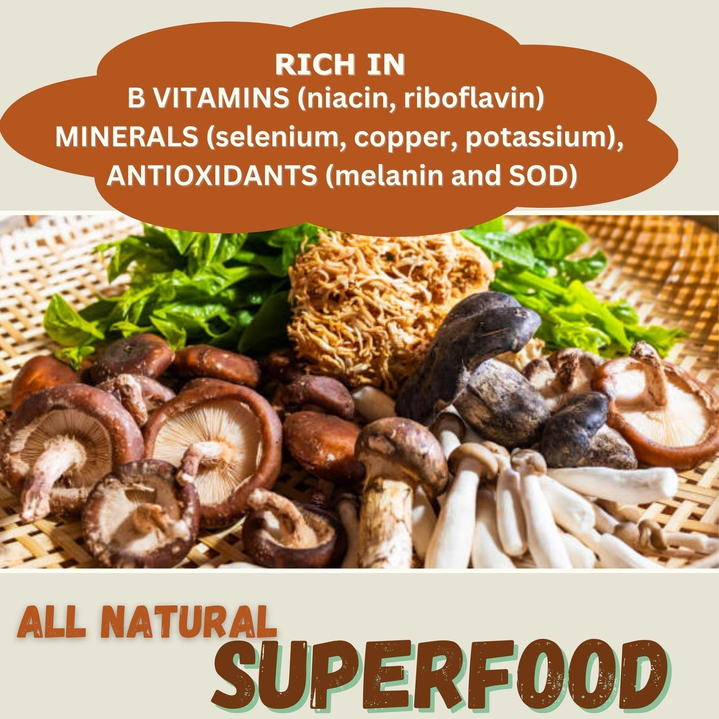 Cherie Sweet Heart 7 Mushroom Extract Powder – Organic Superfood