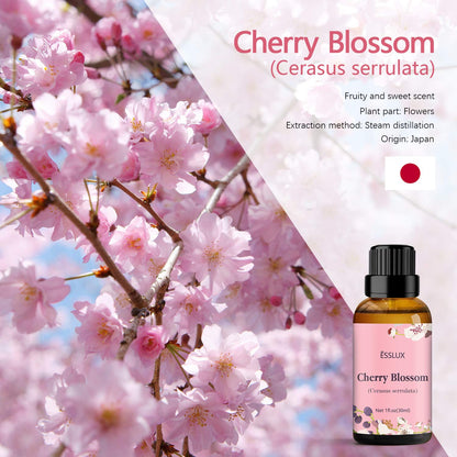 Cherry Blossom Essential Oil – ESSLUX Aromatherapy, 30 ml