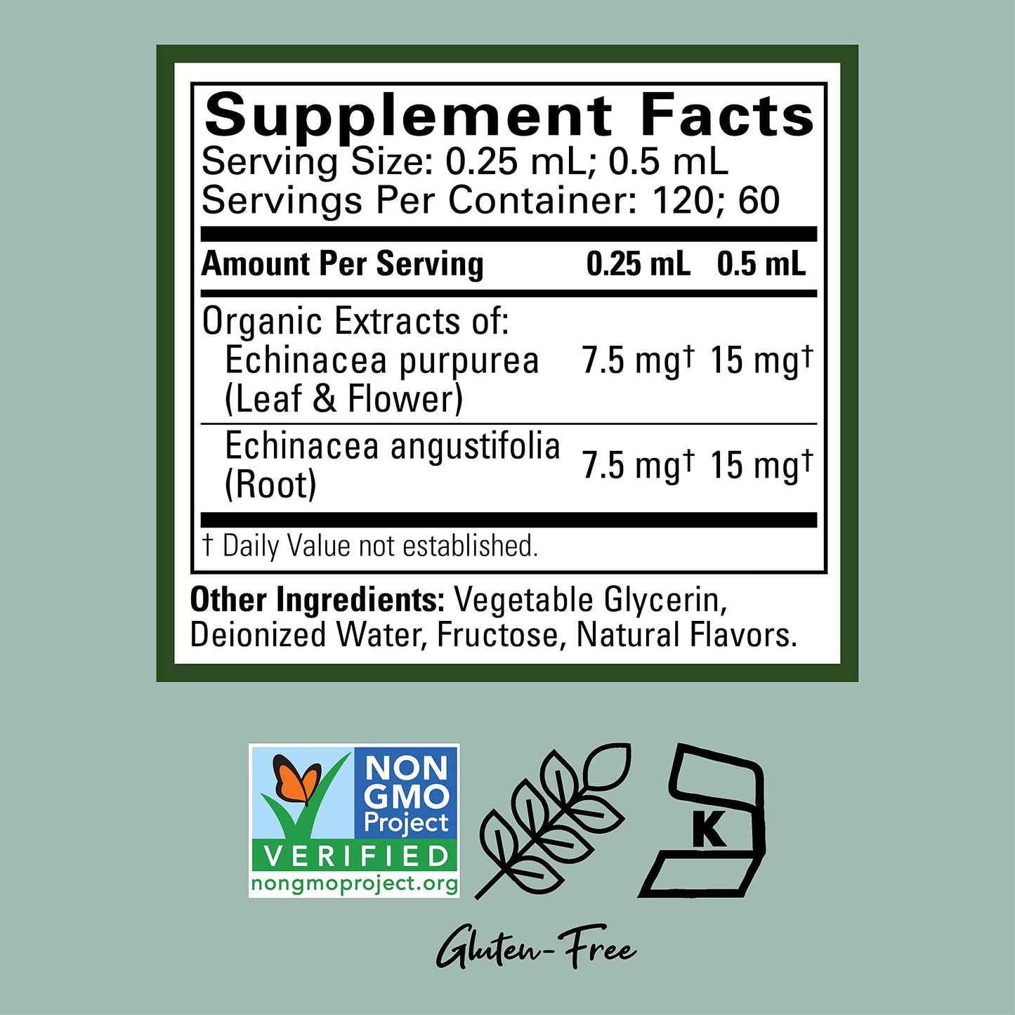 Child Life Echinacea – 1 Fl Oz Glass Bottle | Immune Support for Kids