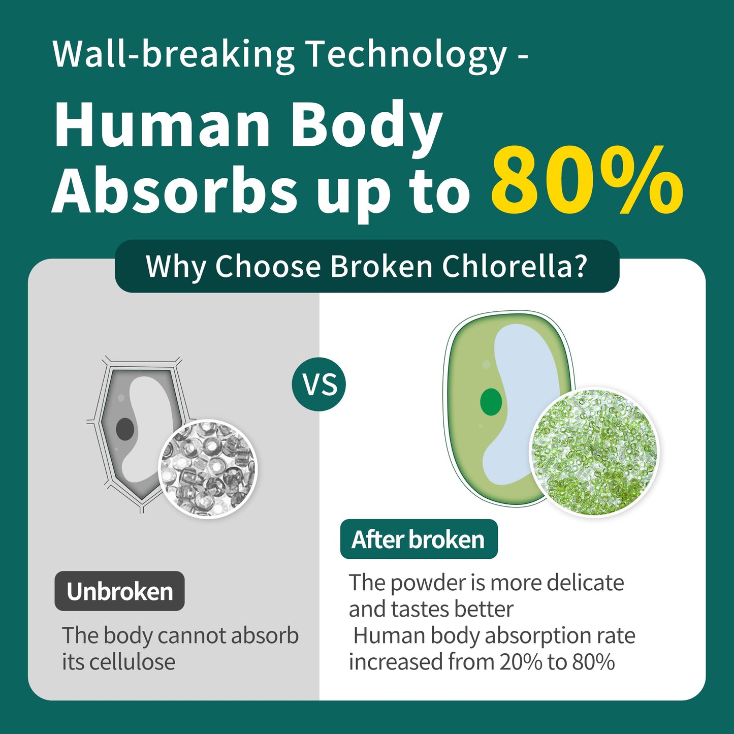 Chlorella Powder Natural 10 oz | Chlorophyll Powder for Immune Support, Liver Function, Vegan Protein & Vitamins