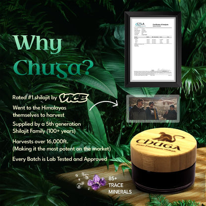 Chuga Shilajit Resin — Pure Himalayan Shilajit, Lab-Tested USA, 74% Fulvic Acid, 175 Servings (2-Pack)