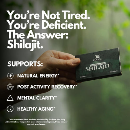 Chuga Shilajit Tablets – Himalayan Grade A, 75% Fulvic Acid, Lab-Tested in USA