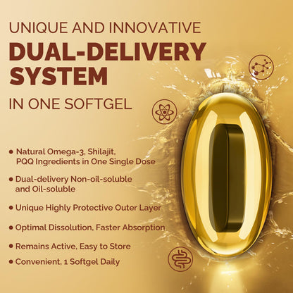 Ciaceae Ubiquinol CoQ10 600 mg Softgels with Omega-3 & Shilajit + PQQ – Dual-Delivery CoQ10 for Energy, Heart & Brain | 60 Servings