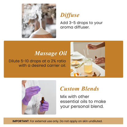 Handcraft Blends Cinnamon Essential Oil – 4oz | 100% Pure & Natural, Premium Grade