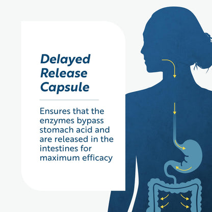 Researched Nutritionals Lumbrokinase — High-Potency 880,000 IU, Delayed-Release (60 caps)