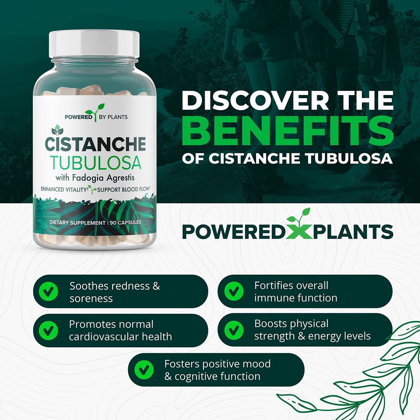 Cistanche Tubulosa with Fadogia Agrestis – Powered X Plants, 90 Servings