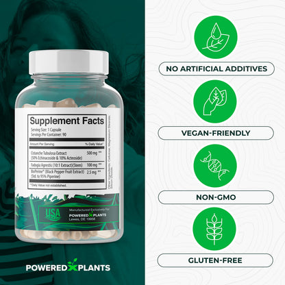 Cistanche Tubulosa with Fadogia Agrestis – Powered X Plants, 90 Servings