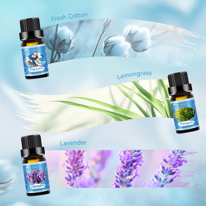 Clean Essential Oils Set - 6 Pack Premium Aromatherapy Oils Gift Set