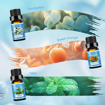 Clean Essential Oils Set - 6 Pack Premium Aromatherapy Oils Gift Set