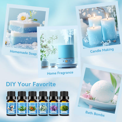Clean Essential Oils Set - 6 Pack Premium Aromatherapy Oils Gift Set