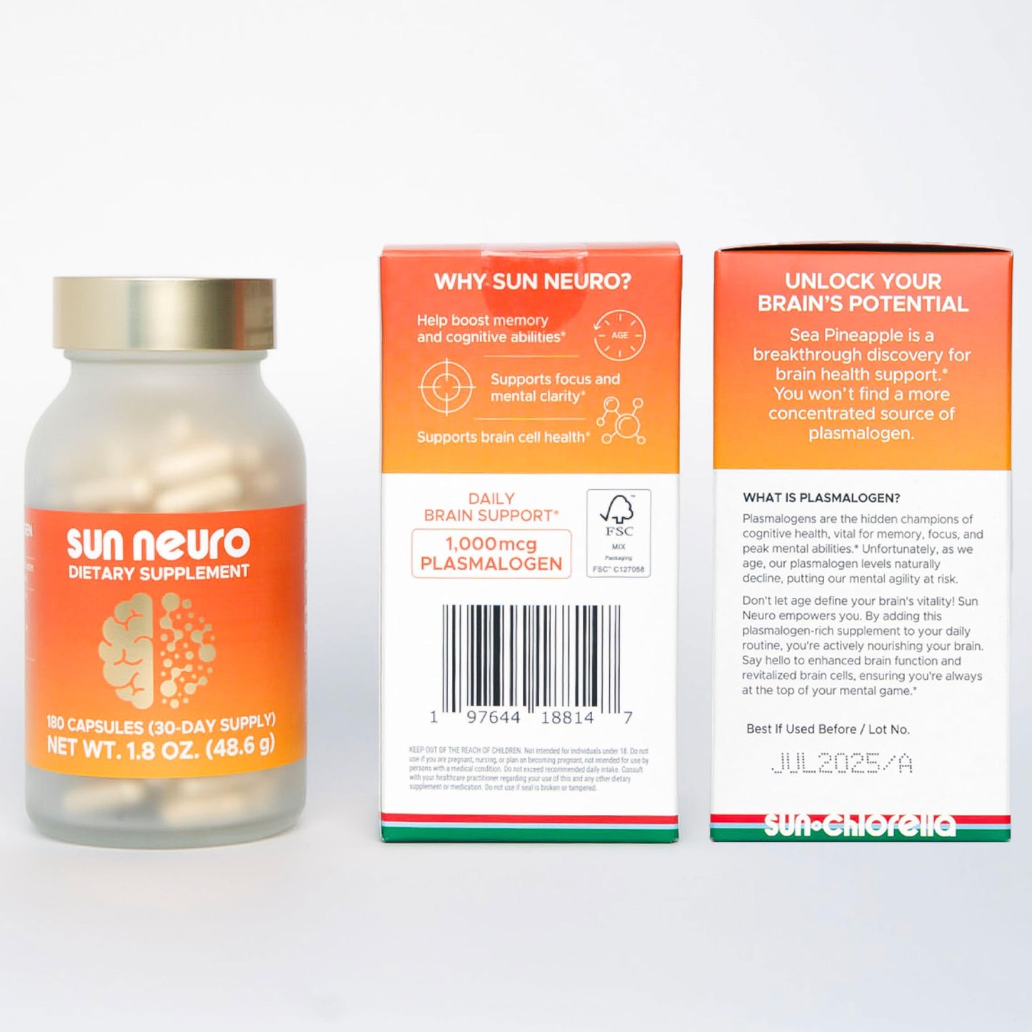 Sun Neuro Nootropic Brain Supplement | Plasmalogen Boost from Sea Pineapples | 180 Caps
