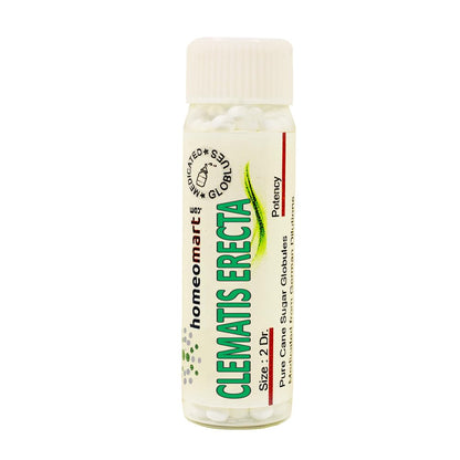 Clematis Erecta Homeopathy Pellets 30C Potency – Pack of 3 | HomeoMart