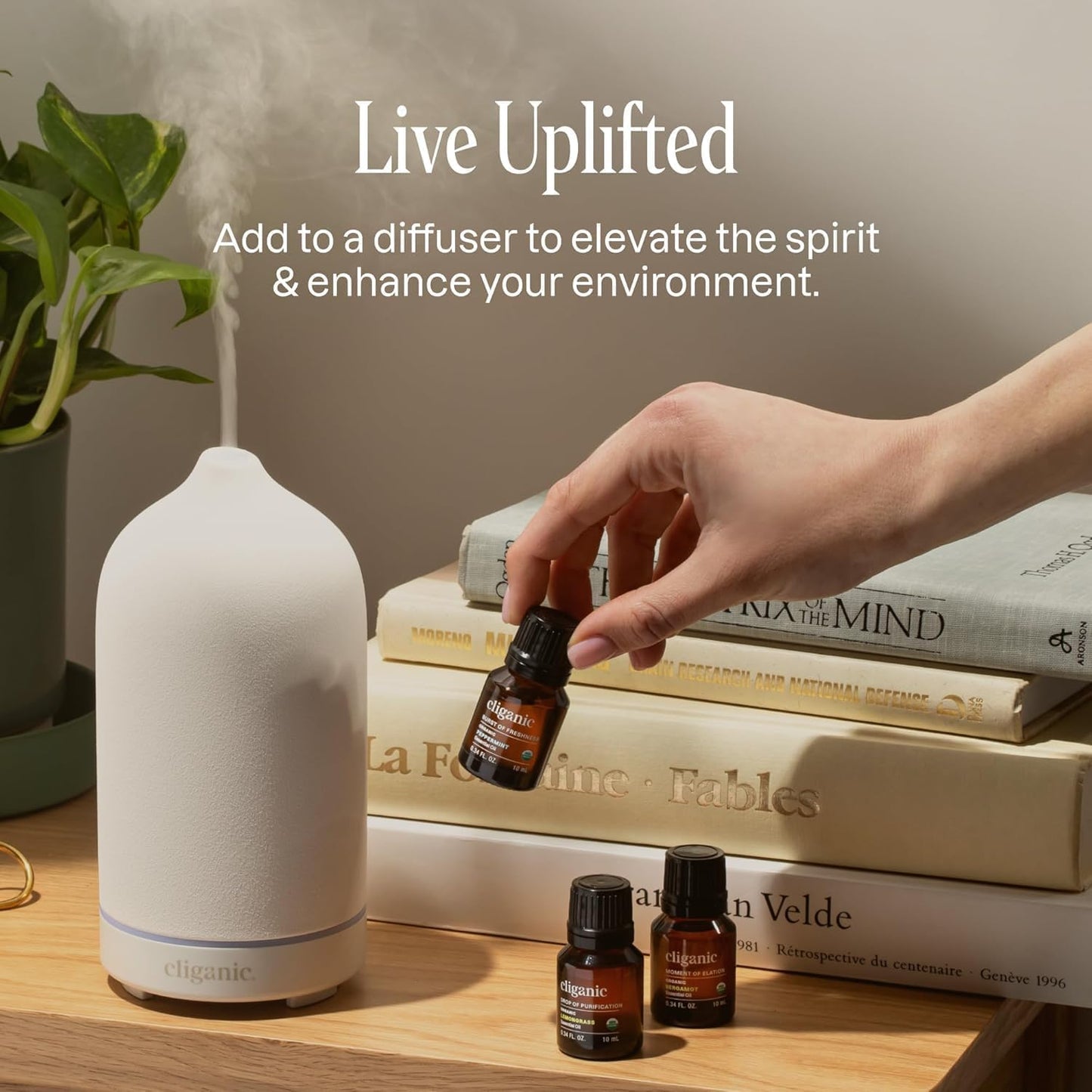 Cliganic Organic Tea Tree Essential Oil – 100% Pure, USDA Organic, Non-GMO, Vegan