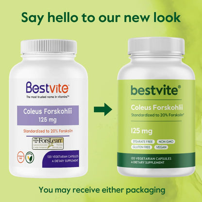 BESTVITE Coleus Forskohlii 125 mg – 20% Forskolin (120 Veg Capsules) – Forslean