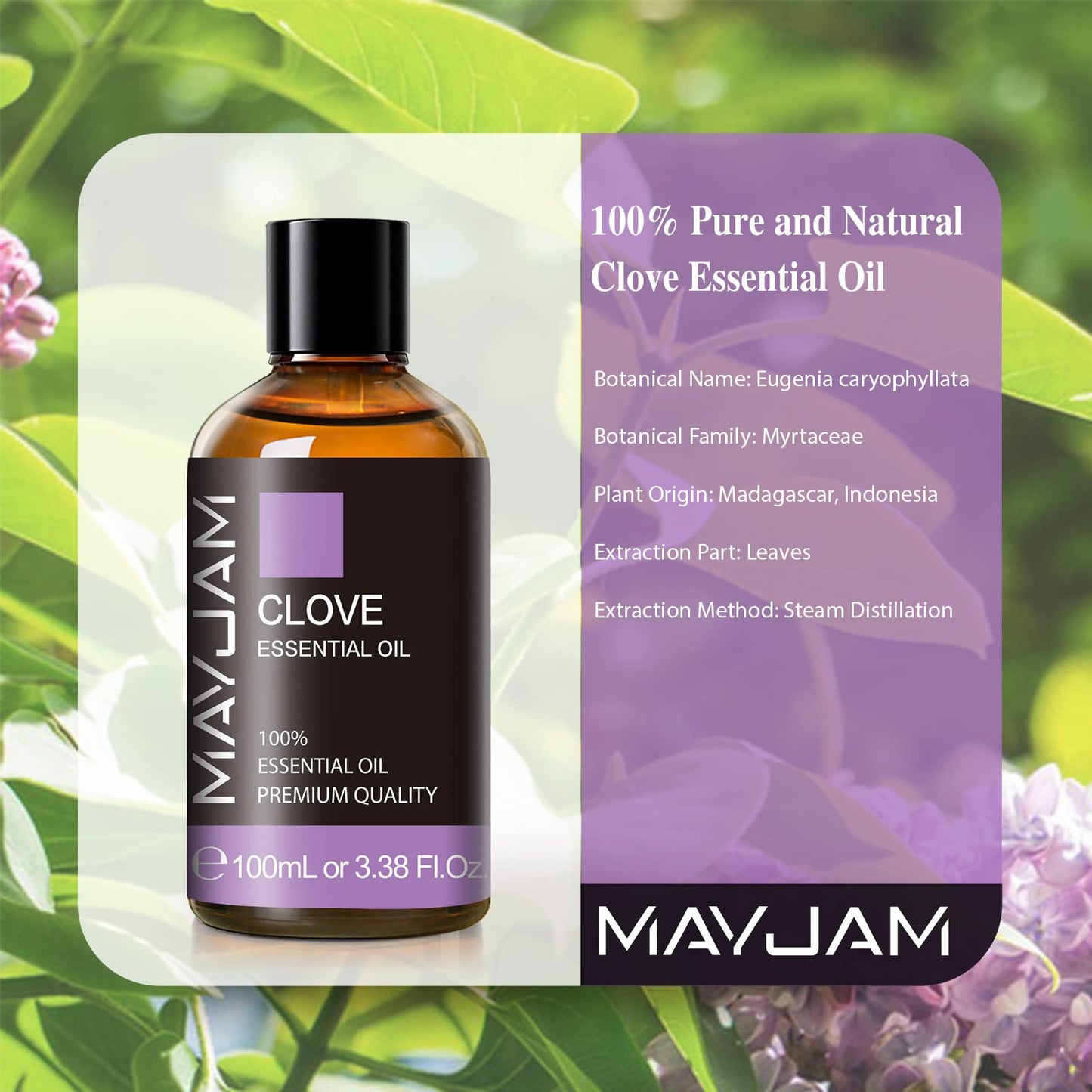 Clove Essential Oil by MAYJAM – 3.38 fl oz for Aromatherapy & DIY Candles & Soap