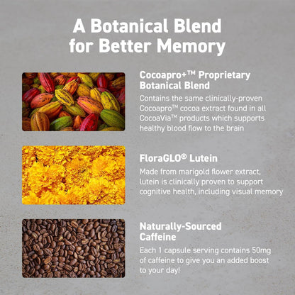 CocoaVia Memory & Focus Brain Supplement – 90 Day Cocoa Flavanol Blend with Lutein & Caffeine